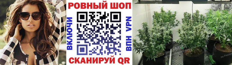 Купить наркоту Радужный Марихуана Alpha PVP Метамфетамин ГАШ