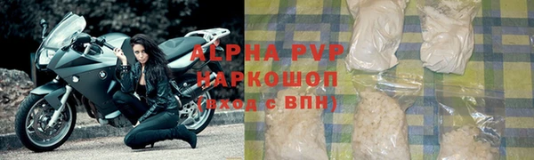 эйфоретик Белокуриха