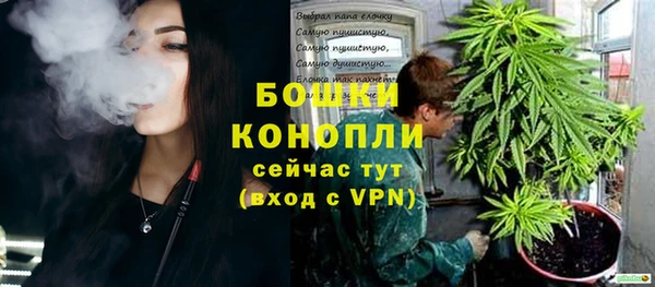 эйфоретик Белокуриха