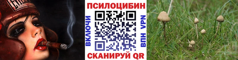 сколько стоит  маркетплейс как зайти  Псилоцибиновые грибы мицелий  Радужный 