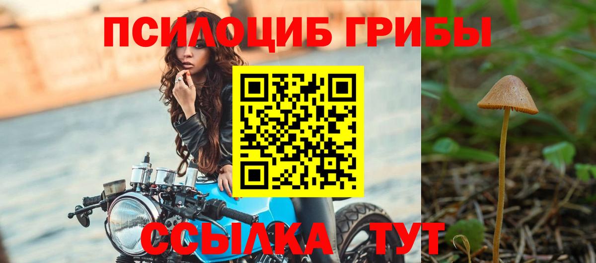 Псилоцибиновые грибы GOLDEN TEACHER Радужный