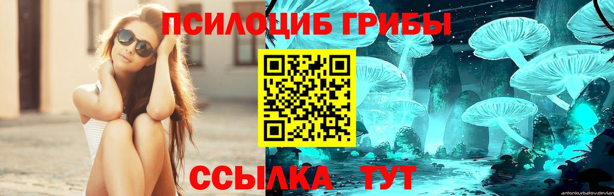 Радужный  Галлюциногенные грибы Magic Shrooms  Галлюциногенные грибы Psilocybine cubensis  Вход с VPN 